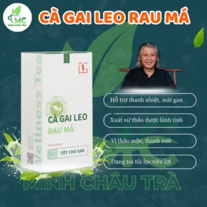 Trà Cà Gai Leo Rau Má Túi Lọc (Hộp 30 Gói) - Cà Gai Leo Rau Má - Trà Tâm Đạo
